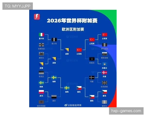 波黑2026世界杯预选赛赛程解析 关键战役与出线形势前瞻